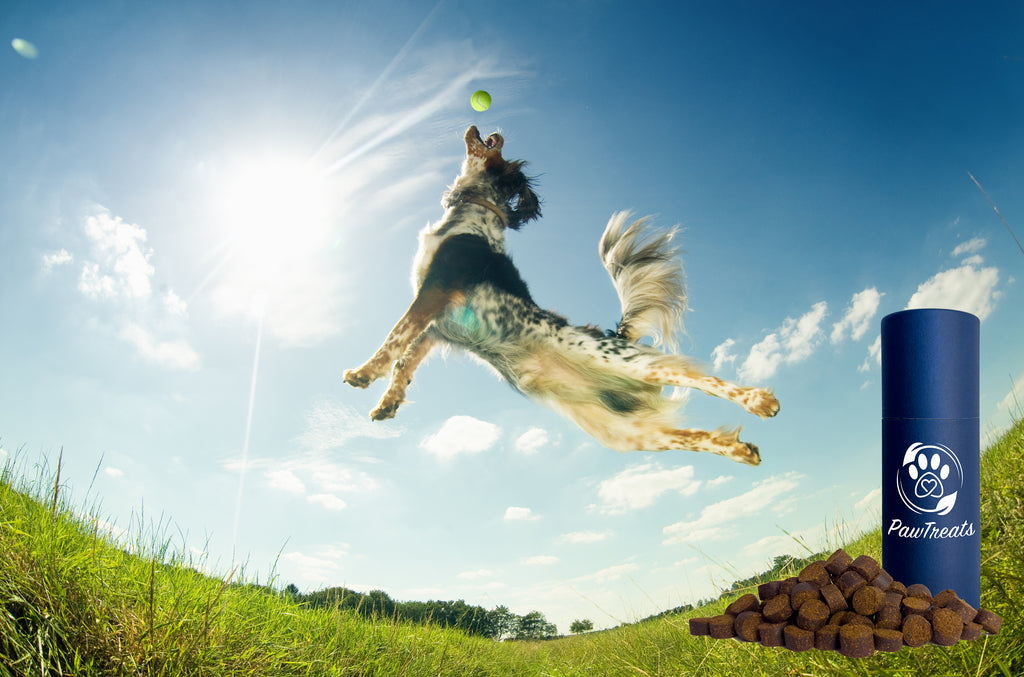 Agility
